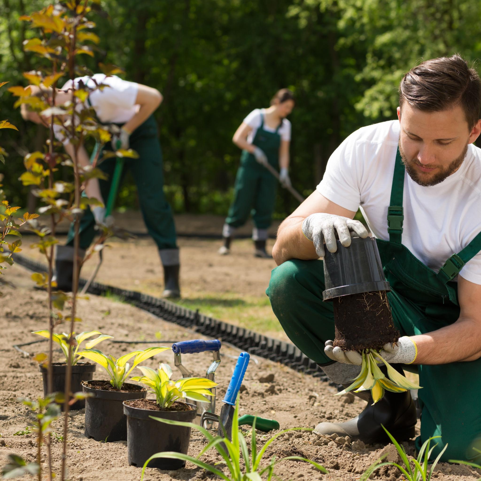 Landschaftsgärtner bei der Arbeit